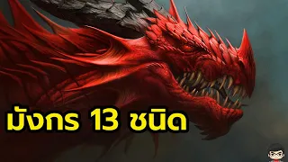 มังกร มีกี่แบบ กี่ชนิด ต่างกันอย่างไร สัตว์มหัศจรรย์และถิ่นที่อยู่ | สุริยบุตร เรื่องเล่า
