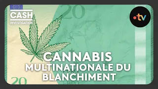 Cannabis, la multinationale du blanchiment (intégrale) - Cash investigation