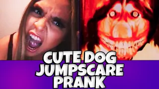 Cute Dog JUMPSCARE PRANK on Omegle!