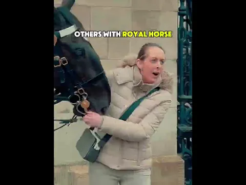 Other King’s Guard Horse Kindness Moments 🐴✨