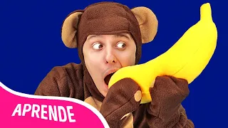 ¿Qué es una fruta? | Canciones para niños | Cinco monos | La La Lección FRUTAS, VEGETALES, ANIMALES