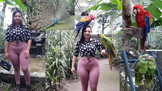 santuario de aves en ataco, loros que hablan🥰🥰