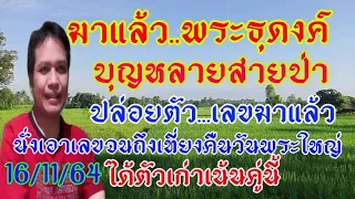 พระธุดงค์บุญหลายสายป่านิมิตตัวนี้ 16/11/64เมตตาให้มาแล้วพิจารณาเบิ่งเอาเด้อ