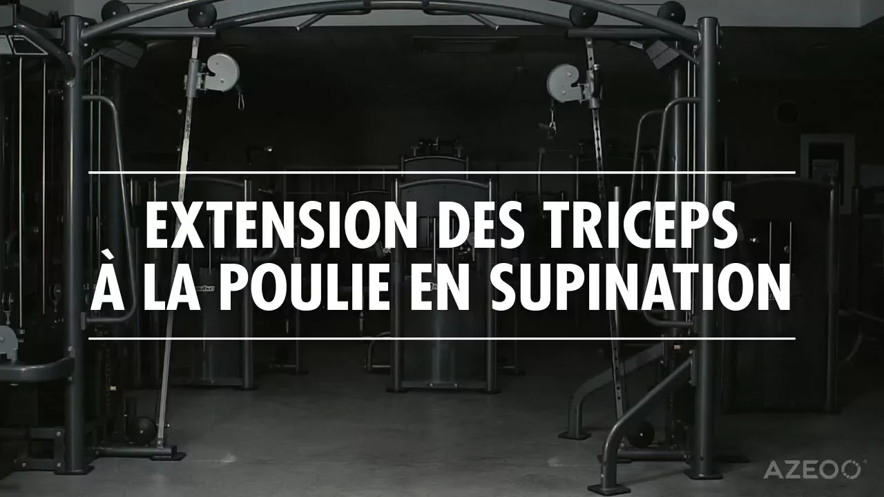 Image Reverse Grip Triceps Pushdown