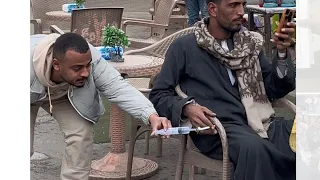 ثلاث دقائق من الضحك المتواصل هتموت من الضحك مع منص فلكس😂😂