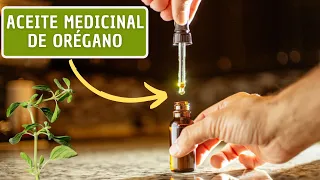 Como Hacer Aceite Medicinal De ORÉGANO En Casa 🌿/ Grandes Beneficios
