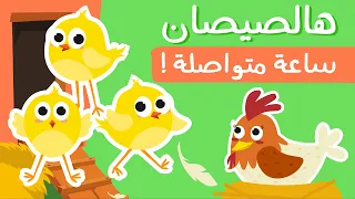 هالصيصان شو حلوين ساعة كاملة  🐥 - ليلا تي في