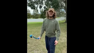 Golden Retriever vs Dog Park