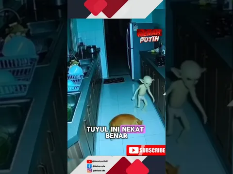 tuyul kena terekam kucing Oyen🤣⁉️