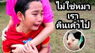The Cuckoo 2, Saved life of a puppy but the owner came to take it back  | เจไจ๋แปน (J Jai Pan)