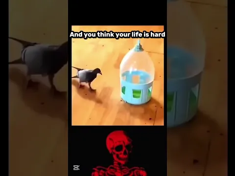A sad story 🥲
