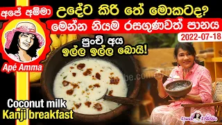 ✔උදේට කිරි තේ මොකටද? මෙන්න නියම රසගුණවත් පානය. Rice Smoothy  Coconut milk kanji by Apé Amma