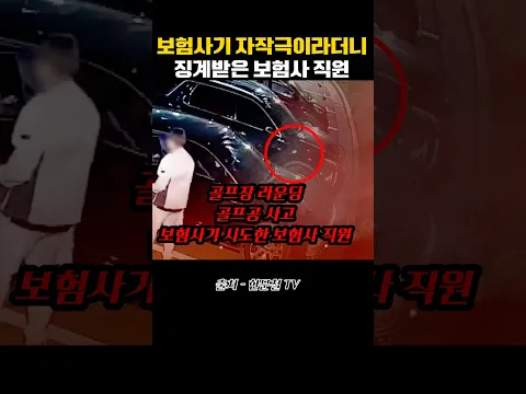 보험사기 자작극이라더니 징계받은 보험사 직원 #블랙박스 #한문철tv