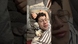 Amor Felipe es bien dramático 🤣 @Lolitha_la_chinchilla  #chinchilla #animalestiernos #mascotas