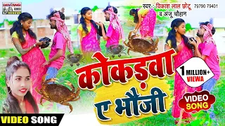 आ गया VIDEO SONG || Vikash Lal Chhotu & Anju Chauhan || का बजने वाला मगही गाना || कोकड़वा ए भौजी ||