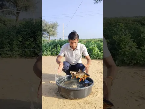 Kanha Ne Machli Ko Kaise Bachaya 😱🤔 #Shorts #trending #viralvideo #funny #funnyshorts
