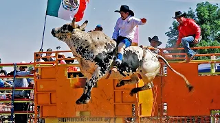 QUE REPAROS ESPECTACULARES!! Primer Torneo Nacional  de toros de reparos Colusa 2023