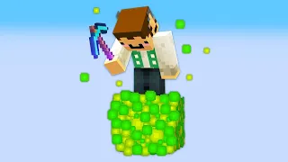 Minecraft, But It's 1 XP Block...