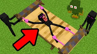 isso é o que os mobs fazem quando você sai do minecraft...
