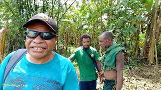 Harvesting Sugar Canes | Tending Taro And Vegetable Garden. PG
