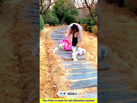 Cute puppy 🥰 and Baby funny🤣 Part 94~mini wood toy-wood working art skill /wood/handcraft /#shorts