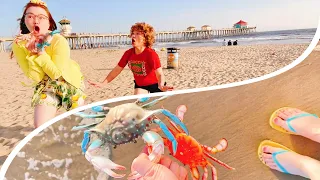Rosie Takes Caillou’s Crabs At The Beach 🦀 🦀🏖🏝🤣😂😅