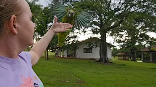 UMA CHUVA E BICUDO NA FARRA