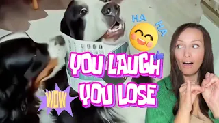 😂 Try Not to LAUGH  Hilarious Animals you Must See! 🤪🤣