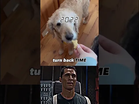 Dog Sad Moments MISSING ❤️‍🩹
