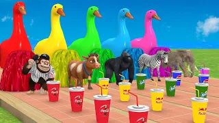 Long Slide Game With Elephant Gorilla Buffalo Hippopotamus Tiger 3d Animal Game Funny 3d Animals