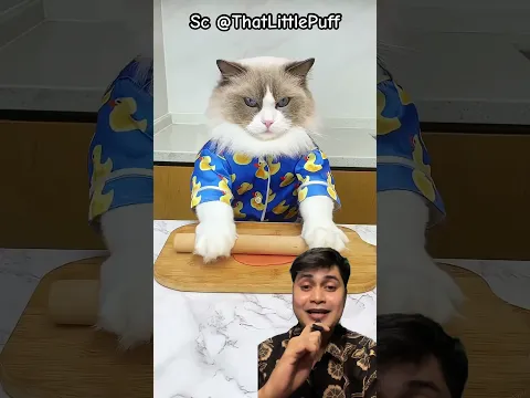 MIAW KEINJEK PERMEN KARET ⁉️JADI DIBIKIN ULANG ThatLittlePuff