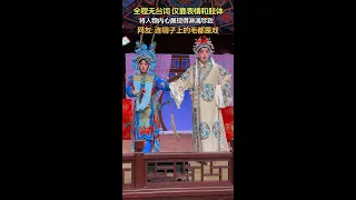 湖湘有戲·看戲 | 全程無臺詞，卻連翎子毛都是戲