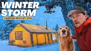 Camping with my dog in a HUGE tent during a snow storm