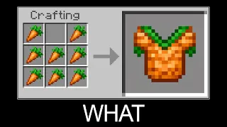 Minecraft Wait What meme part 22 (Сarrot Armor)