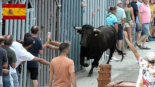 Insane Bull Run in Spain, The Wildest Show on Earth 2024