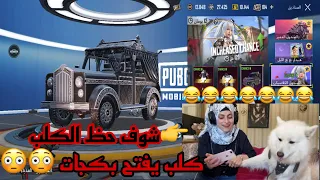 كلب 🐶يفتح بكجات 😂😂😂 شوفو حظ الكلب ( بكجات فكتورية العذباء ) صراع الجبابرة