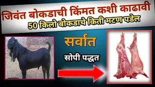 जीवंत बोकडची किंमत कशी काढायची  सोपे गणित   || बोकडपालन वजन वाढ || bokdachi vjn vaadh ||shelipaln