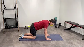 Image Push-up scapolare quadrupedico