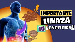 CIENTÍFICOS REVELAN 10 BENEFICIOS DE LA LINAZA , LA SEMILLA MILAGROSA