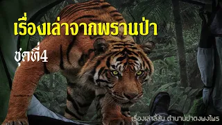 รวมเรื่องเล่าจากพรานป่า ชุดที่ 4