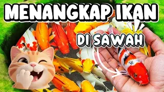 MENANGKAP IKAN WARNA WARNI DI SAWAH 🐟🐠🐬 