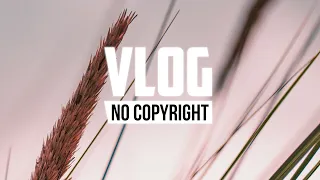 LiQWYD - Feel Me (Vlog No Copyright Music)