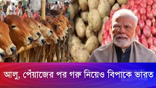 বাংলাদেশকে ই/*ট মেরে বারবার পা/*ট/*কে/*ল খাচ্ছে ভারত! | Bangla Edition