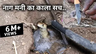 नाग मनी का असली सच, देखिए ऐसी तरकीब से बाहर निकाला कोबरा सांप Rescue indian cobra snake