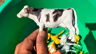 Plastic Animals Toys Unboxing Order Flipkart Cow, Buffalo, Dinosaurs, Rhino, Tiger, Giraffe, Lion,