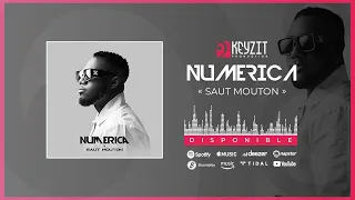 NUMERICA - SAUT MOUTON (AUDIO OFFICIEL)