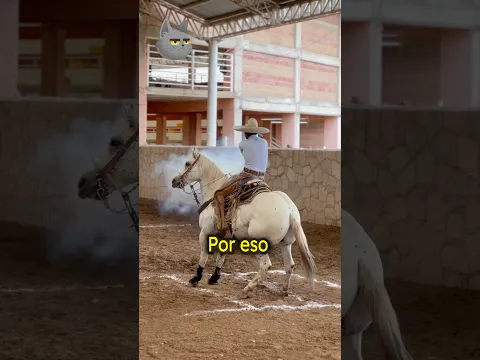 Cómo hacen los vaqueros para atrapar animales 🤔 #vaquero #ganadero #curiosidades #curiosoben