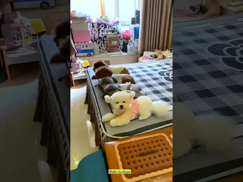 Cute puppy 🥰 and Mummy funny 🤣 Part 16mini wood toy-wood working art skill /wood/handcraft /#shorts