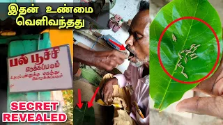 பல்லில் புழு எடுத்தல் இதன் உண்மை வெளியானது | Pallpoochi secret revealed in Tamil | Edison vlogs