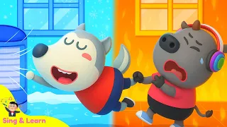 Hot or Cold Challenge ? Sing and Learn with Wolfoo Kidssong!